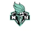 New York Liberty