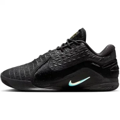 Nike Lebron 22 Black Label