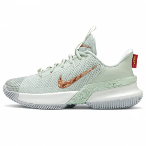 Nike LeBron Ambassador 13